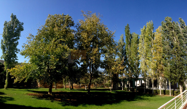 Κήπος - Garden
