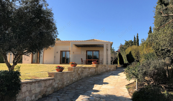 Εξωτερική όψη . Outdoor view