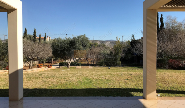Κήπος - Garden