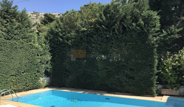 Εξωτερικός χώρος - Outdoor space 