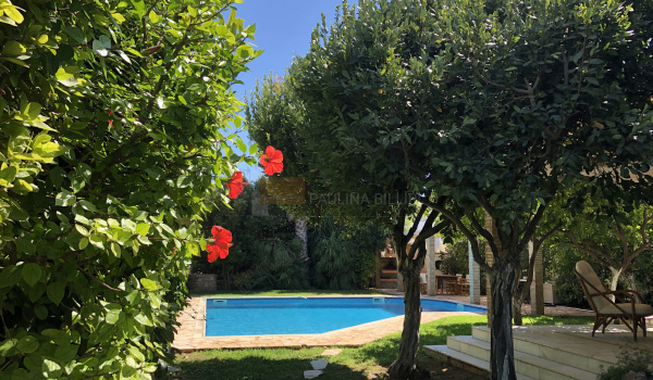 Εξωτερική όψη - Outdoor view