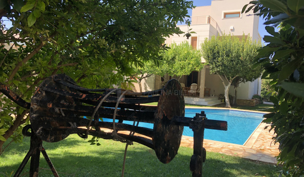 Πισίνα - κήπος . Swimming pool - garden