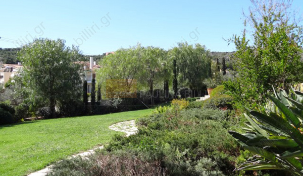 Κήπος - Garden