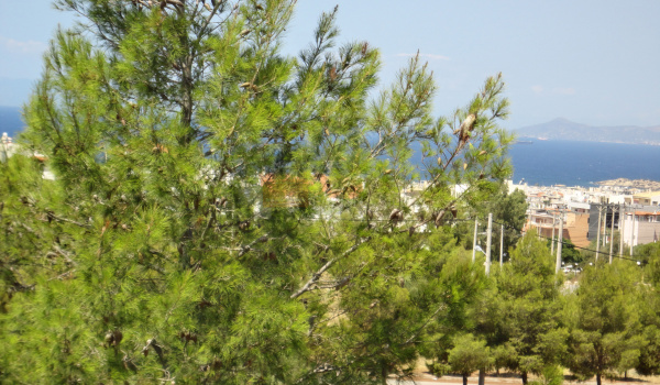 Θέα - View