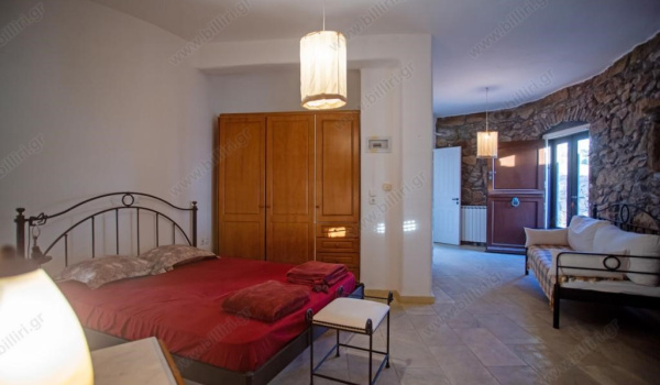 30_117513703