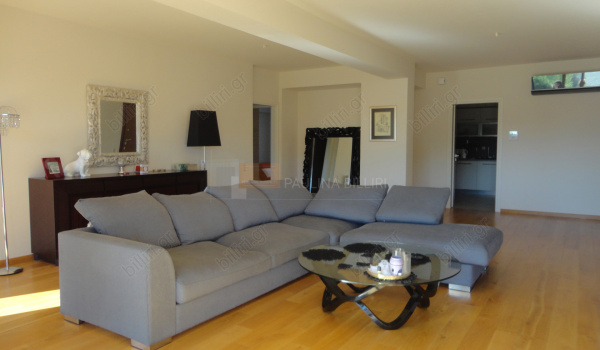 Σαλόνι - Living room