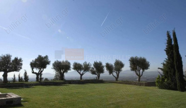 Eξωτερικός χώρος - Outdoor space