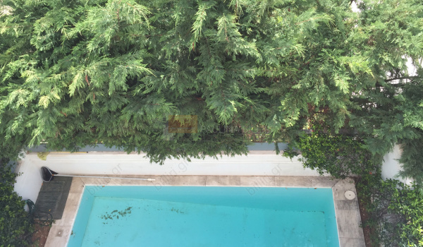 Πισίνα - Swimming pool