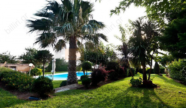 Κήπος - Garden