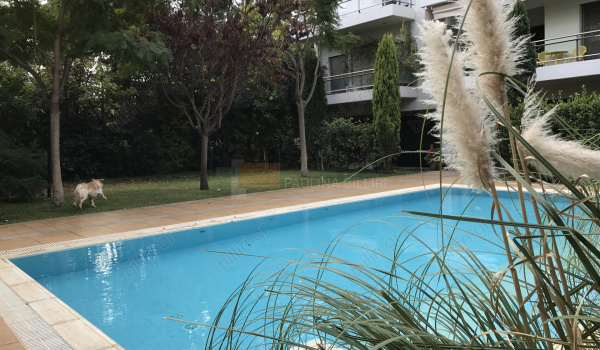 Πισίνα - Swimming pool