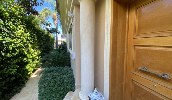 3_1022993382
