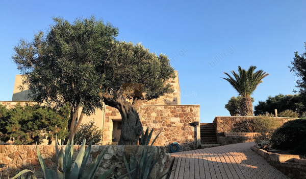 Εξωτερική όψη . Outdoor view