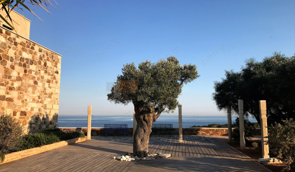 Εξωτερική όψη . Outdoor view