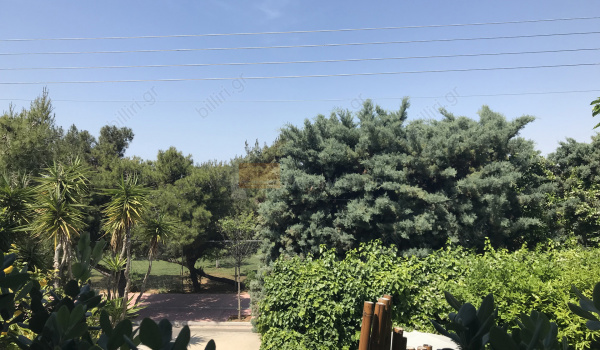 Εξωτερικός χώρος - Outdoor space 
