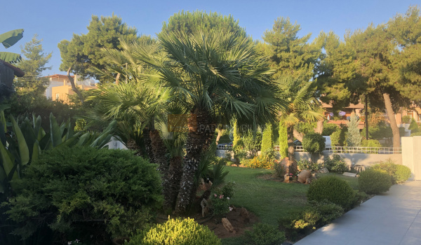 Eξωτερικός χώρος