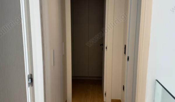 54_582425516