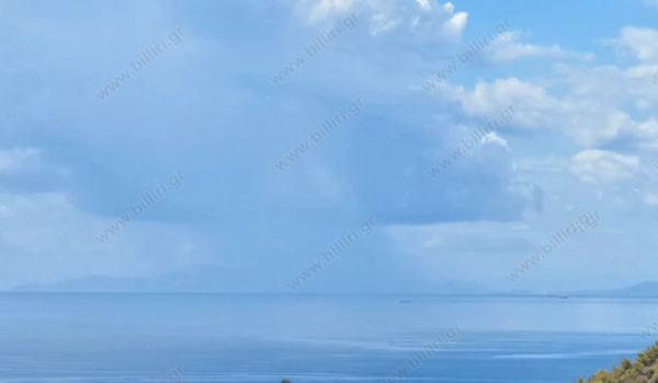 63_923235784