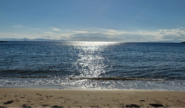80_935834570