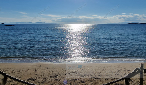 81_331463377