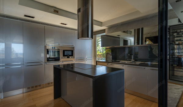 _cat0217-hdr_copy