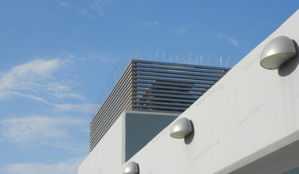 a15