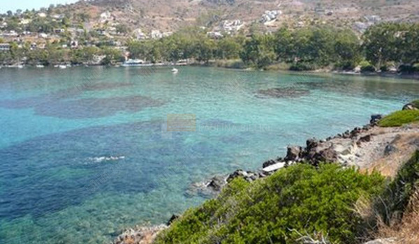 Θέα - View