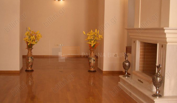 Εσωτερικός χώρος - Indoor view