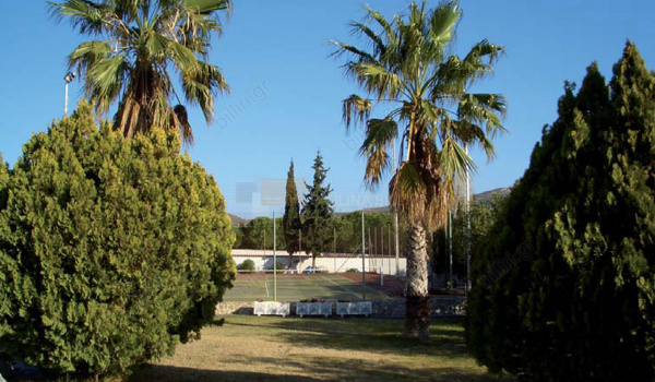 Tennis court