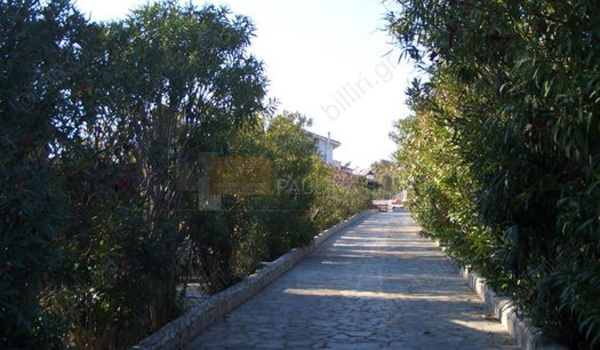 Κήπος - Garden