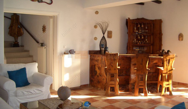 Living room - bar