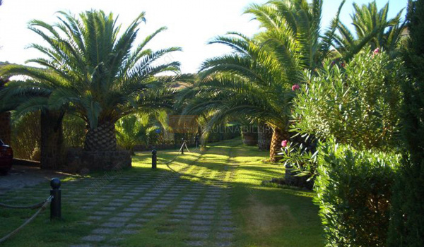 Κήπος - Garden