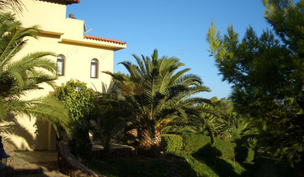 Εξωτερική όψη - Outdoor view