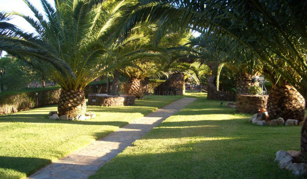 Κήπος - Garden