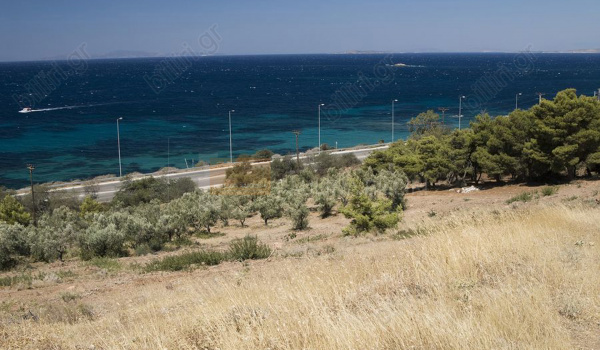 Οικόπεδο - Plot