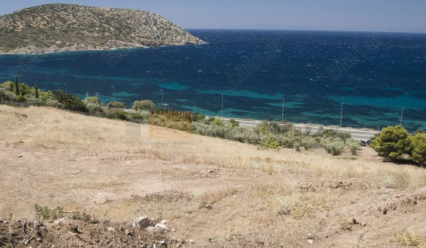 Οικόπεδο - Plot