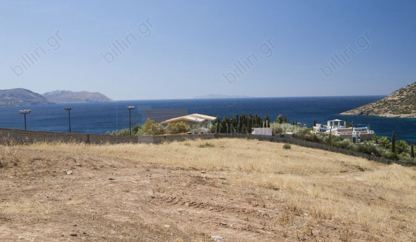 Οικόπεδο