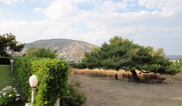 Κήπος