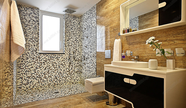 bathroom_1a