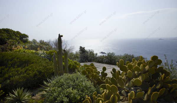 clemence_mykonos071
