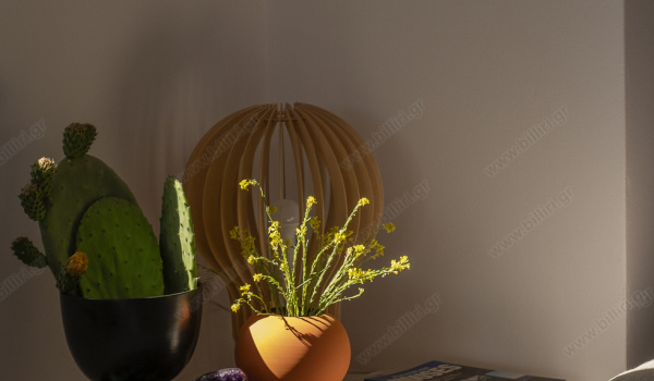 dscf5041