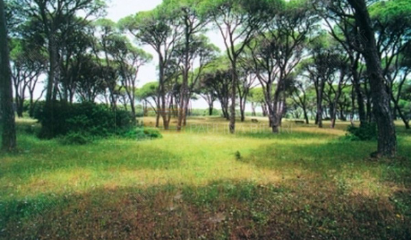 Πάρκο - Park