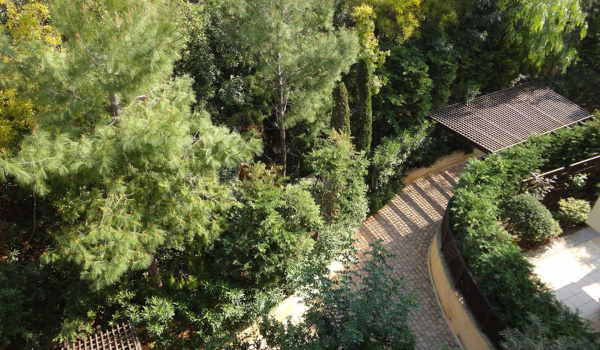 Κήπος - Garden