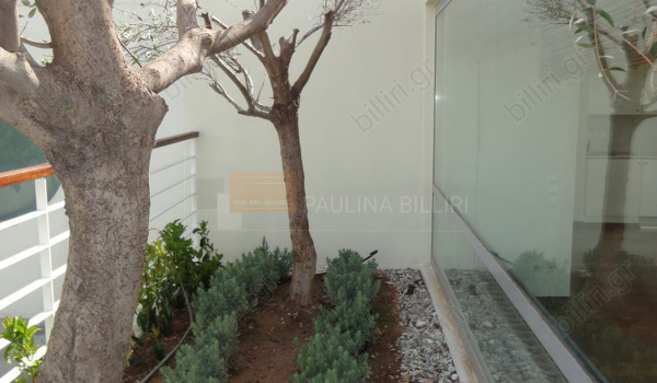Eξωτερικός χώρος - Outdoor view