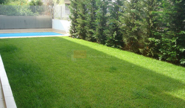 Κήπος - Garden