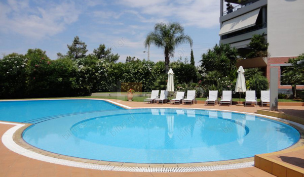 Κήπος - πισίνα . Garden - Swimming pool