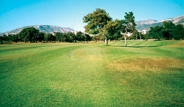 Γκολφ Γλυφάδας - Golf Glyfada