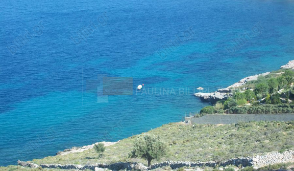 Οικόπεδο - Plot