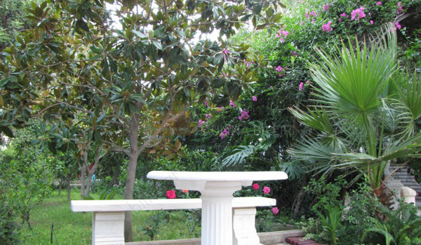 Κήπος - Garden