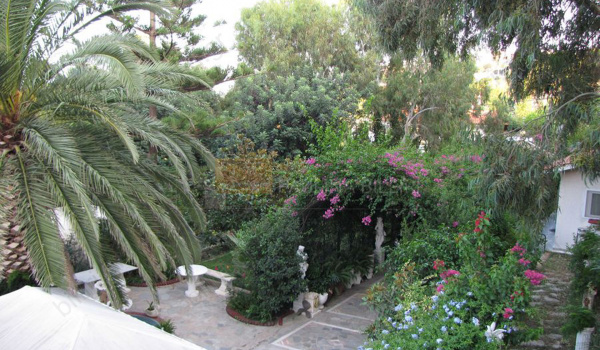 Κήπος - Garden