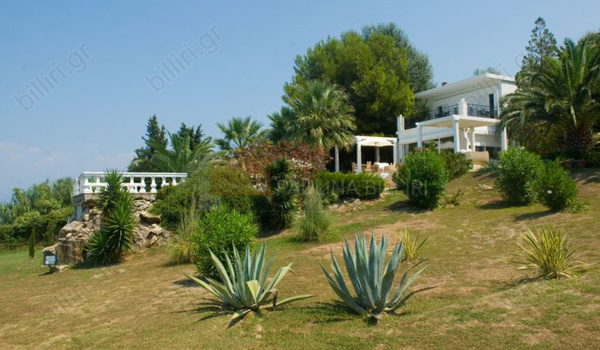 Περιβάλλων χώρος - Outdoor view